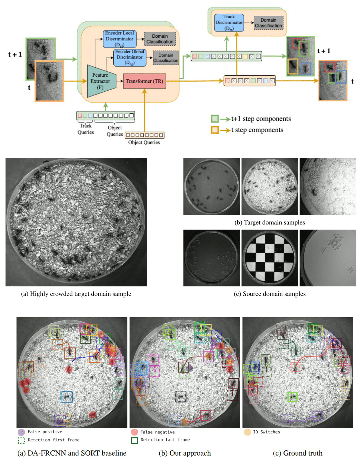 Tracking Different Ant Species: An Unsupervised Domain Adaptation Framework and a Dataset for Multi-object Tracking preview