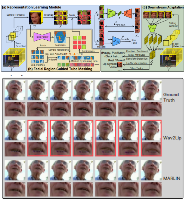 MARLIN: Masked Autoencoder for facial video Representation LearnINg preview