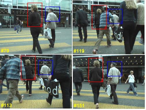Multi-object model-free tracking with joint appearance and motion inference preview
