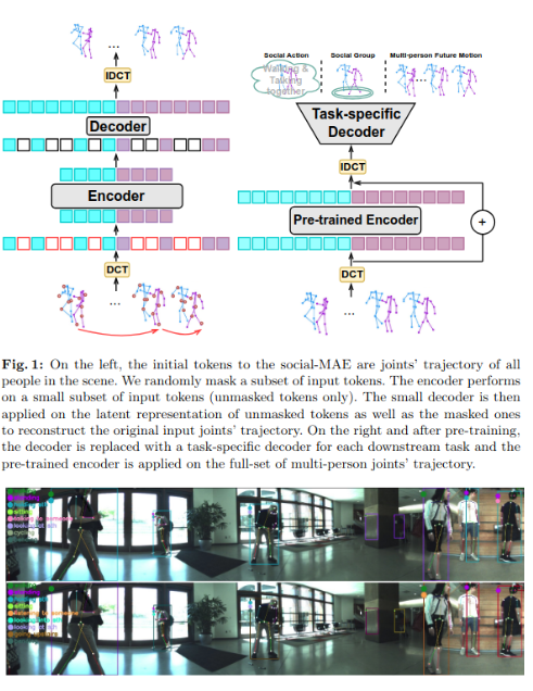 Social-MAE: Social Masked Autoencoder for Multi-person Motion Representation Learning preview