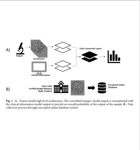 Deep learning classification integrating embryo images with associated clinical information from ART cycles preview